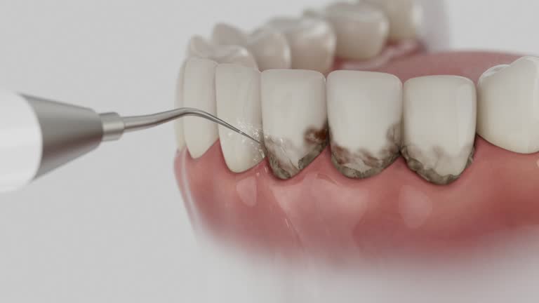 Reliable Dental contractor in Whitley County County, IN by Dentist Open Now